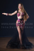 Professional bellydance costume (classic 198a)